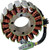 Rick'S Motorsport Electric Stator Polaris 21120724