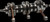 Crankshaft Asmbly Cr2009