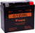 Yuasa Battery Gyz20L