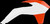 Polisport Rad Cvr Sx/Sxf Wh/Or