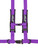 PRP 4.2 Harness prpSBAUTO2PU