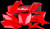 Polisport Body Kit Crf250 Oe Rd