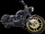 Front Wheel 19X3 Laguna Non  Abs-Gold