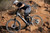 Spinergy Spinergy Wheel Mxxe Rear 2420002