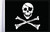 Jolly Roger Flag - 6" x 9"