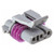NAM AMP/Delphi EFI & Component Connectors namND-12129946-B