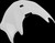 Arai  XD-5 Spoiler - White