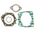 BRONCO BRAKE CALIPER, REAR WITH BRAKE PADS 990484