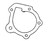 Vertex Polaris Water Pump Gasket 717122