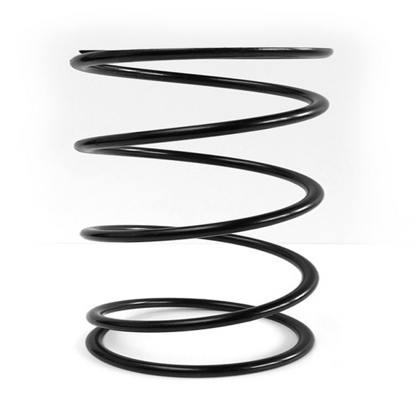 EPI Clutch Spring PEBS30