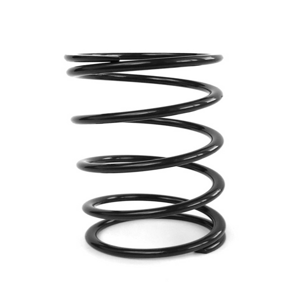 EPI Clutch Spring PATV20