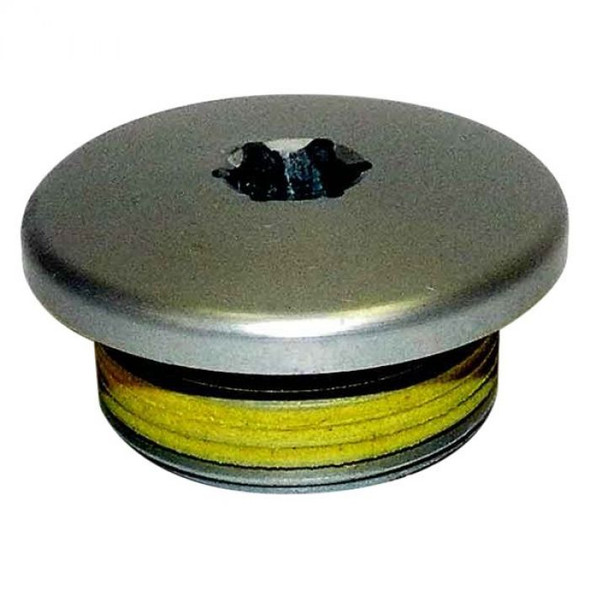 Wsm Wsm Sea-Doo 1503 Engine Plug Screw 014-750