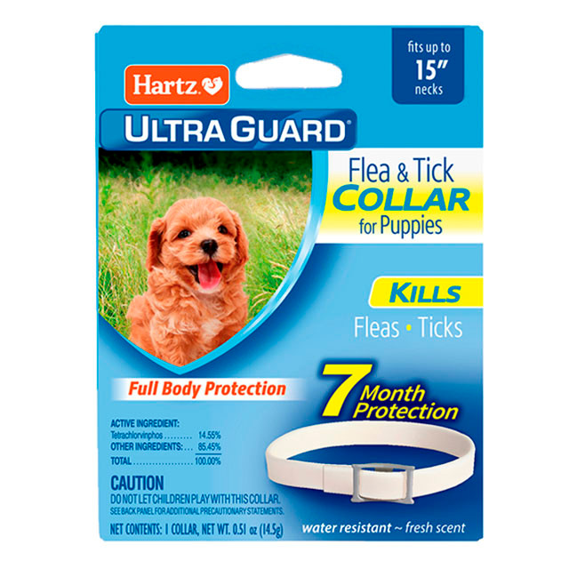 los cachorros pueden usar collares antipulgas