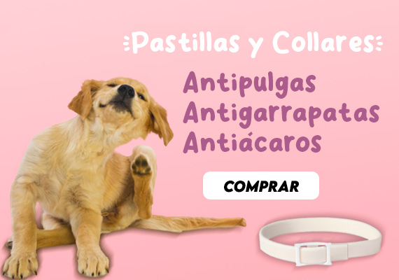 Pastillas y Collares Antiparásitos