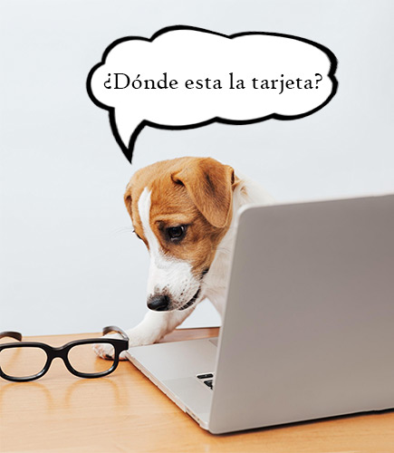 ¡Suscríbete a Nuestro Boletín! ¡Suscríbete a Nuestro Boletín!