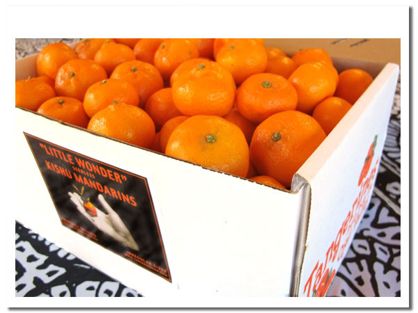 Our beautiful gift box comes loaded with Certified organic seedless Kishu mandarins plus an insert card.