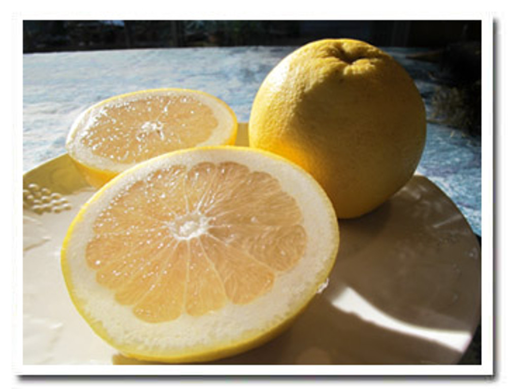 Oro Blanco is a fabulous California hybrid grapefruit - like grapefruit with the sugar built in.