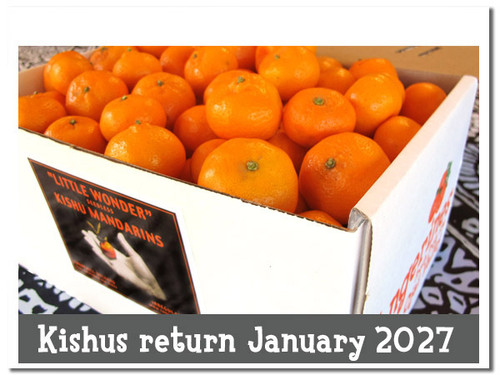 Our beautiful gift box comes loaded with Certified organic seedless Kishu mandarins plus an insert card.