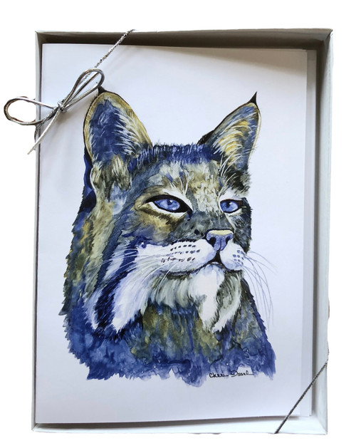 5"W x 7"H notecards blank 6 to a box