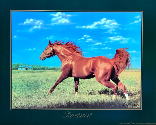 Secretariat in the Field 20x16 $35.00