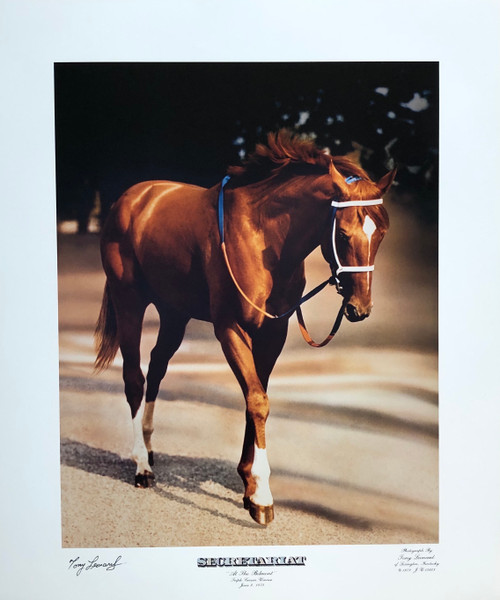 Secretariat "At The Belmont" 1973 Triple Crown Winner
