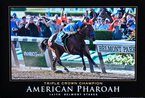 American Pharoah 140th Preakness Stakes Triple Crown Winner