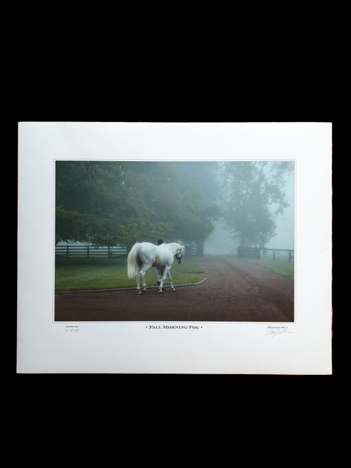 25"W x 20"H signed and numbered