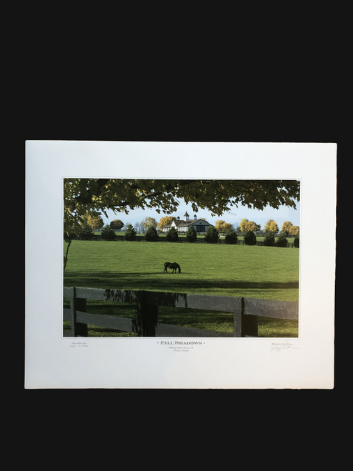 25"W x 20"H signed and numbered