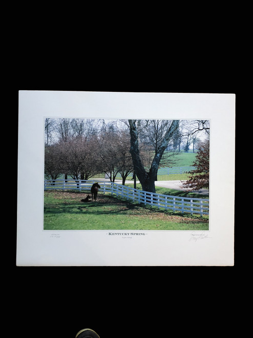 25"W x 20"H signed and numbered