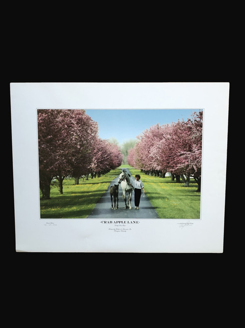 Signed and numbered print
25"W x 20"H