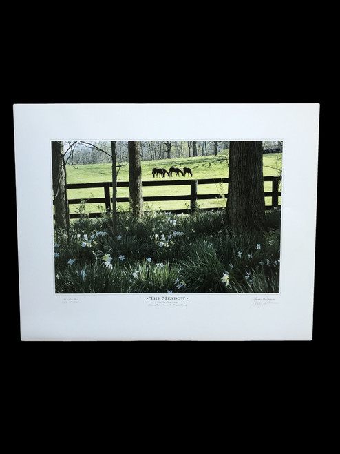 25"W x 20"H print signed and numbered by Doug Prather