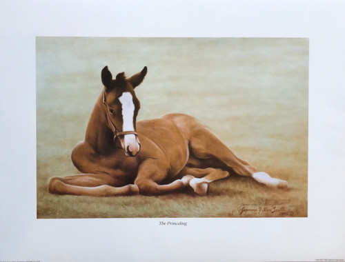 Print size is 23"W x 17.5"H  signed/numbered by Artist: Jeanne Fuller Scott