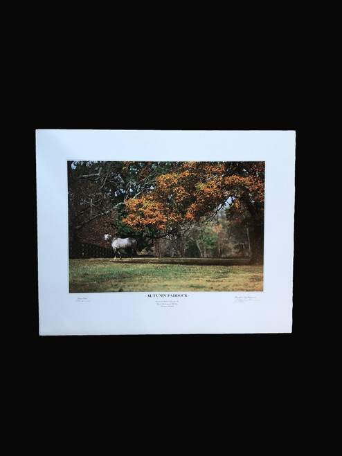 Signed and numbered print
25"W x 20"H