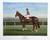 Phar Lap signed by artist Richard Stone Reeves with Jim Pike up