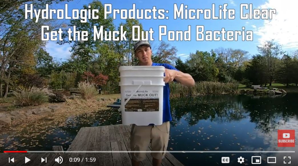 Pro Bass Angler Grae Buck Uses MicroLife Get The MUCK OUT to Breakdown Pond Muck in His Own Pond! Pro Bass Angler Grae Buck Uses MicroLife Get The MUCK OUT to Breakdown Pond Muck in His Own Pond!