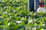 Food Plot Herbicides