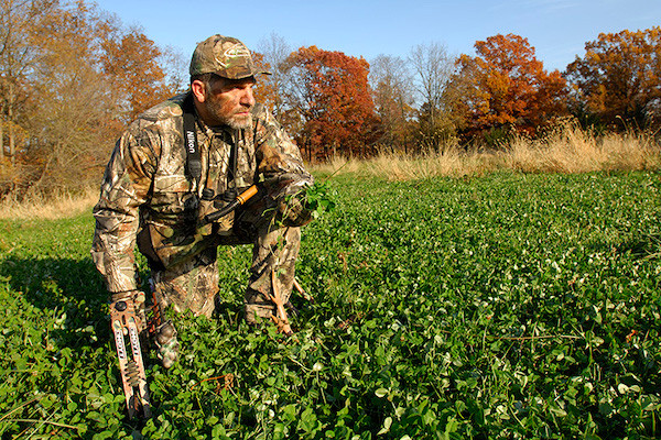 When to Spray Grass Herbicide For Clover Food Plots Frigid Forage