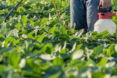 Food Plot Herbicides