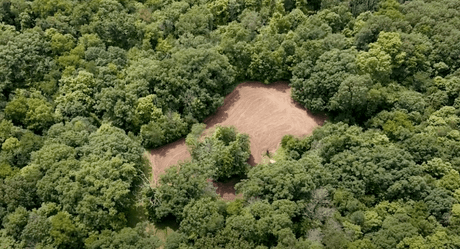 Maximizing Spring Food Plots for Deer