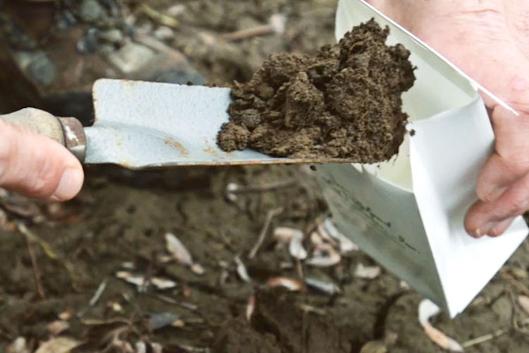 soil-test.jpg