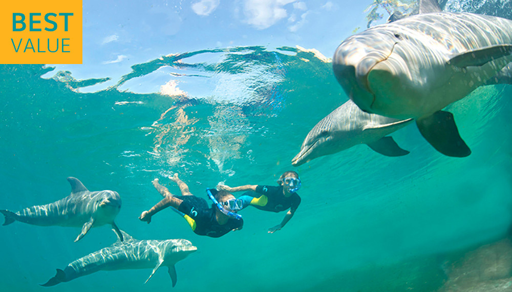 COMBO: Atlantis Aquaventure + Deep Water Dolphin Interaction + Lunch