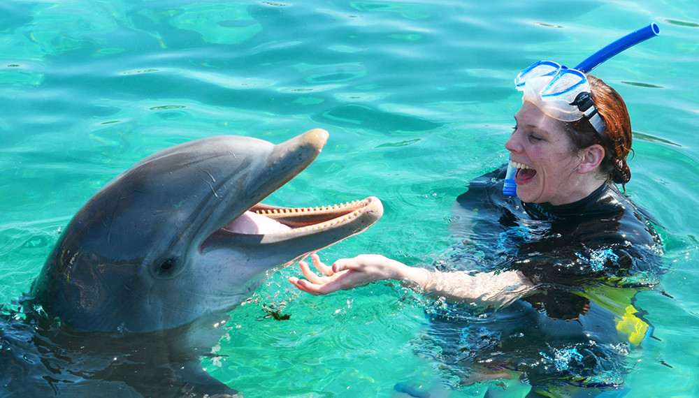 Atlantis Dolphin Cay Deep Water Interaction + Beach
