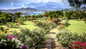 boutique Mount cinnamon resort for a day