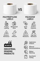 Understanding Poly Labels: Polypropylene vs Polyester (and How to Choose the Right One)