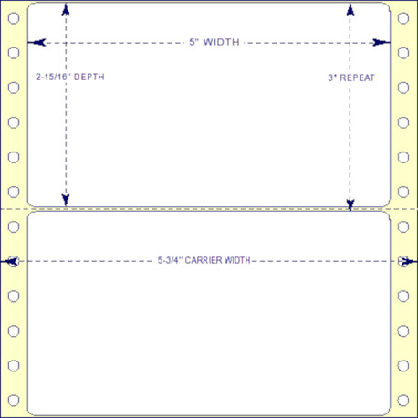 5" x 2-15/16", Pinfeed, 1 Label Across, 5,000 Labels a Case
