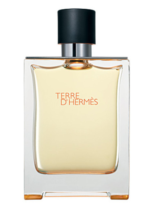 Terre d'Hermes 100ml Eau De Toilette by Hermes for Men (Bottle-B)