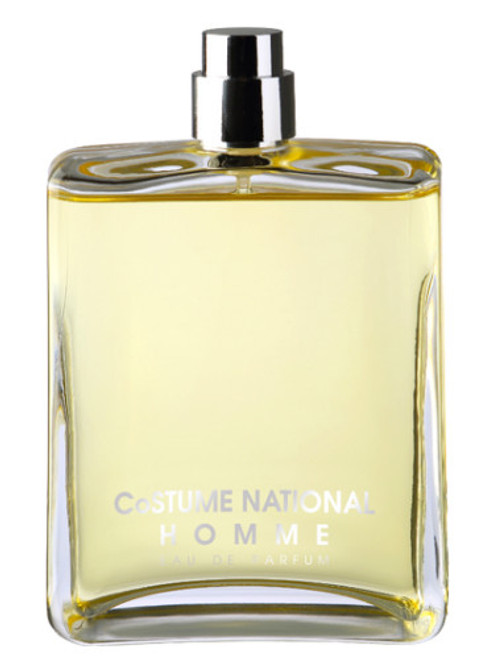 Costume National Homme 100ml Eau de Parfum by Costume National for Men (Bottle-A)
