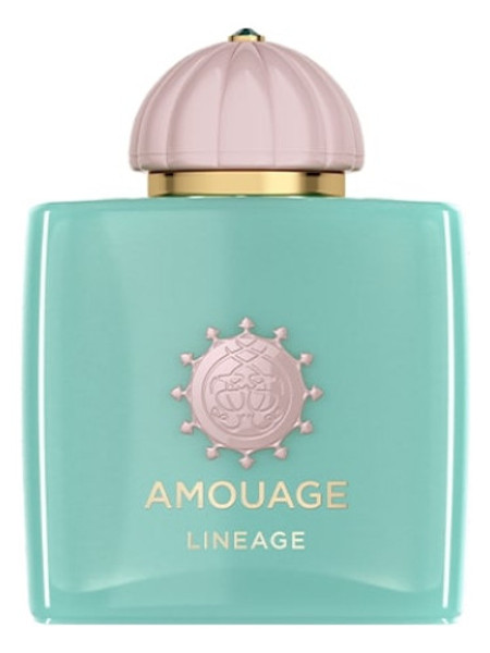 Lineage100ml Eau De Parfum by Amouage for Unisex (Bottle)