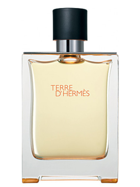 Terre D'Hermes 200ml Eau de Toilette by Hermes for Men (Bottle-A)