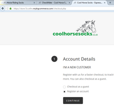 Google's new approach to website security - Coolhorsesocks.co.uk is compliant